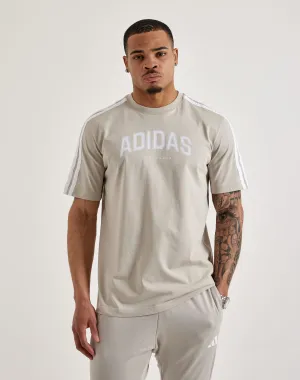 Adidas Collegiate Tee