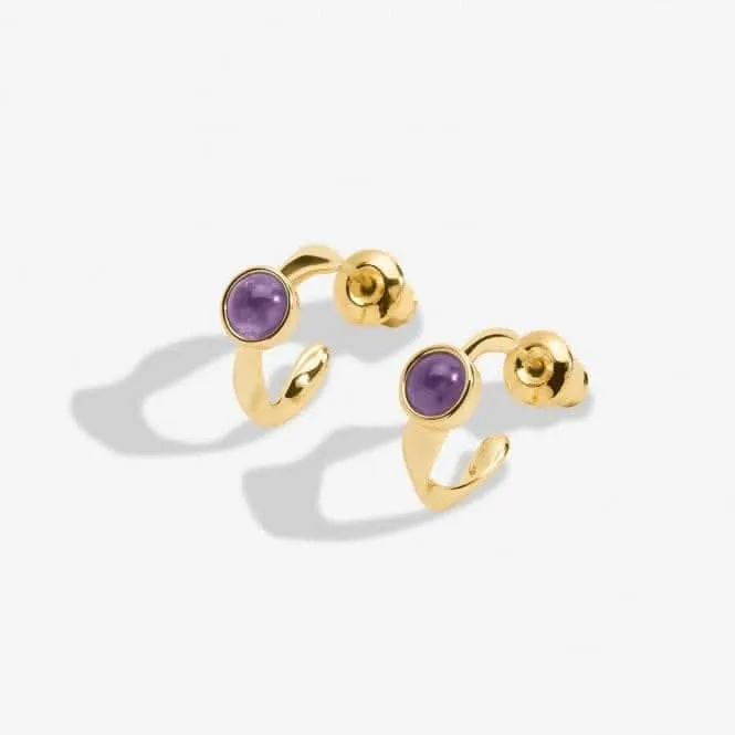 Birthstone Hoop Earring February Gold Plated Earrings 6748 Joma Jewellery