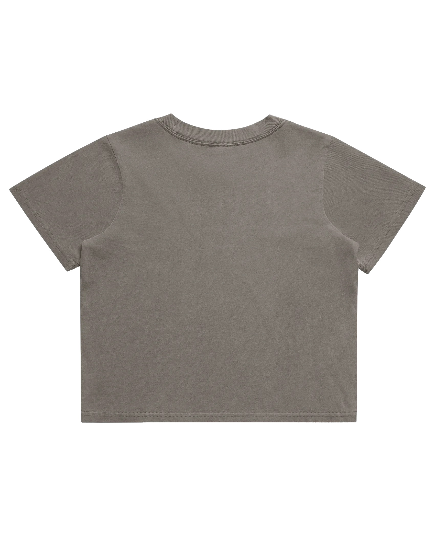 Heavy Faded Crop T-Shirt in Faded Grey