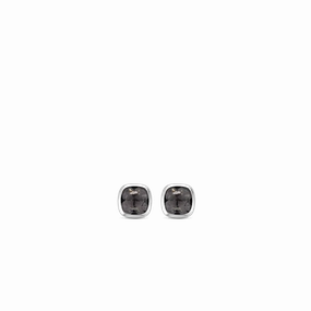 Ti Sento Jewellery TI SENTO - Milano Earrings 7808GB