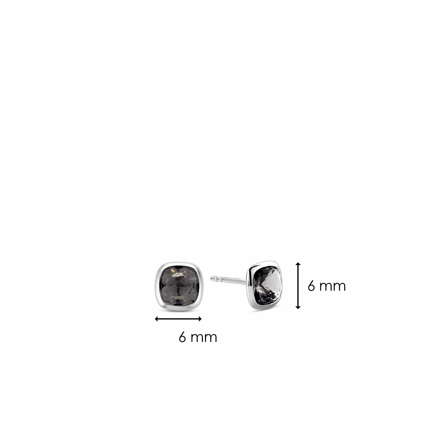 Ti Sento Jewellery TI SENTO - Milano Earrings 7808GB