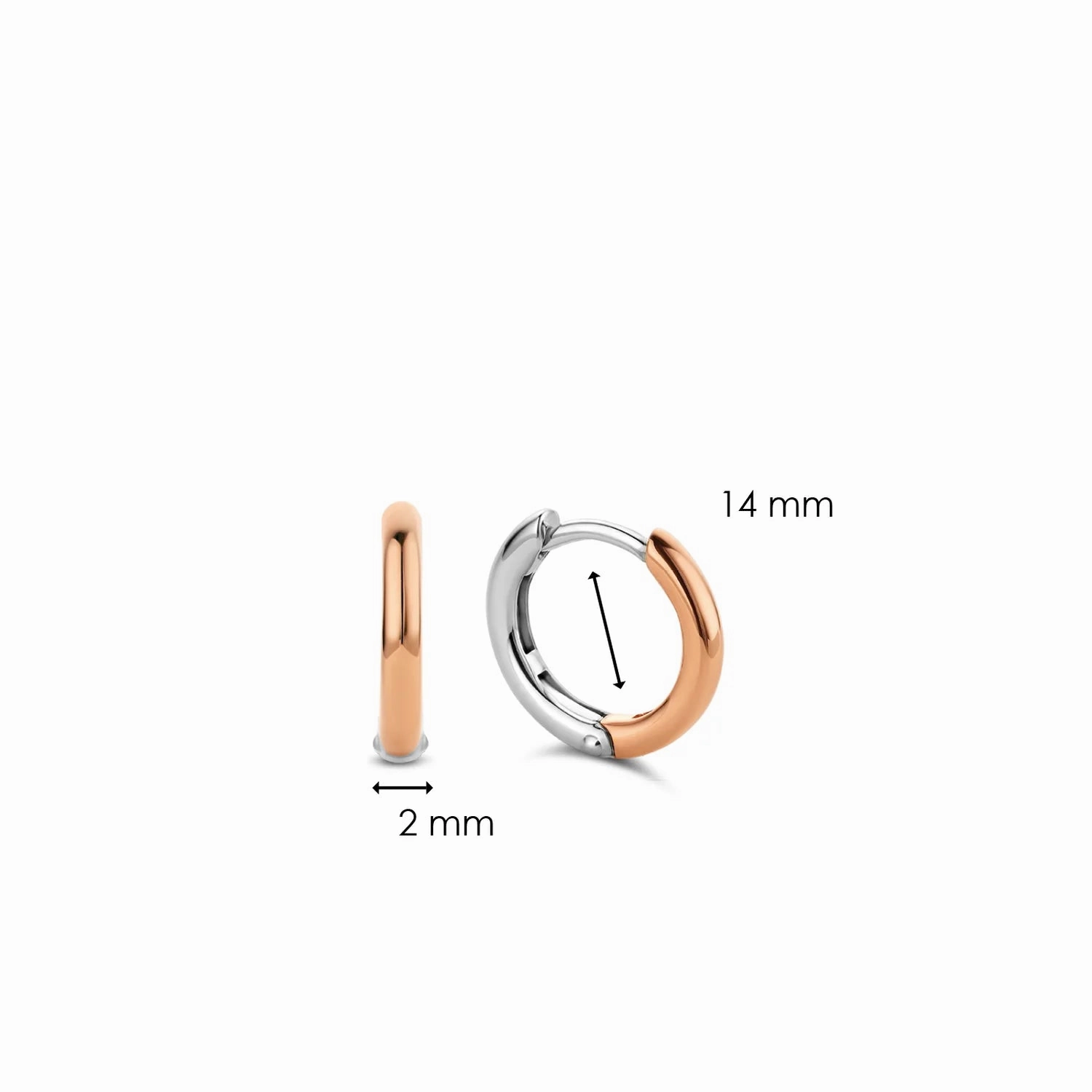 Ti Sento Jewellery TI SENTO - Milano Earrings 7812SR