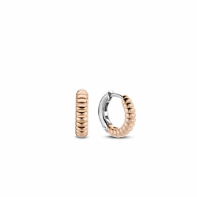 Ti Sento Jewellery TI SENTO - Milano Earrings 7839SR